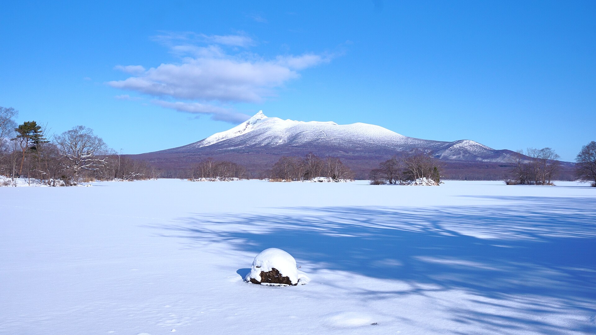 北海道の冬景色